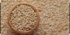 sesame seed