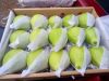 Fresh Guava