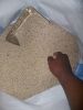 sesme seed