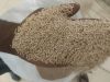 sesme seed