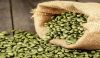 Arabica coffee beans r...