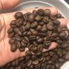 Arabica coffee beans r...