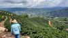 Venezuela Arabica Coff...