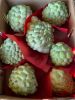 Custard Apple