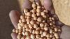 Chickpea,Lentil,Flax seed