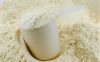 Low Price Protein Powder Whey Protein Wpi 90 Whey Protein Isolate