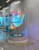 P20 LED Flexible Transparent Film Screen