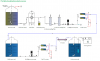 12V 24V Watermaker Desalinator Cruise RO Water Maker De DC Deionised Water Maker 