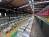 Color coated steel coils of various colors