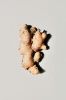 Dried Ginger