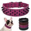 Pet collar for dog 