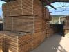 wood species, includin...