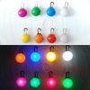 LED Glowing Pet Safety Light Pendant With Clip