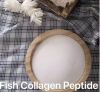 Collagen Peptide