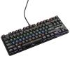 KEYBOARD WITH BLUE-TYPE MECHANIC