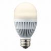 LED LIGHT BULB E26 550LM 8W