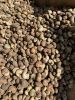 Raw Cashew Nuts