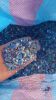 Recycled Polypropylene...