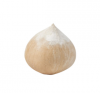 Fresh Coconut, Fresh W...