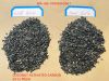 COCONUT ACTIVATED CARBON