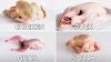Birds Meat