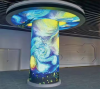 Flexible Module LED Display