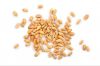 Premium Wheat for Sale: Bulk Orders Available High-Quality Wheat: Competitive Wholesale Pricing Wheat Supply: Reliable Bulk Sales