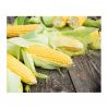 Direct Farm Price Dried Yellow Corn For Animal Feed / Wholesale yellow corn For Human And Animal Consumption