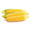 Direct Farm Price Dried Yellow Corn For Animal Feed / Wholesale yellow corn For Human And Animal Consumption