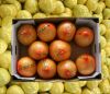 Pomelo