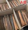 Cassia seed, Chinese C...