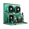 Best Price Bitzer Condensing Unit Manufacturer Cold Room Unit China Factory