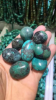 Turquoise flat&amp...
