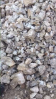 barite, calcium fluori...