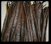 planifolia vanilla beans