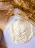 Wheat flour