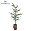 Nifloral 6ft New Desig...