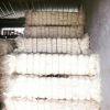 sisal fiber and sun fl...
