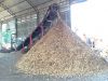 Eucalyptus Wood chips
