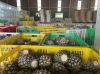 CANNED PINEAPPLE