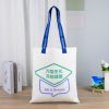 Customizable Canvas Ba...