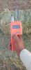 Rhodes Grass