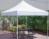 Instant Canopy