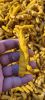 Turmeric Powder / Fing...