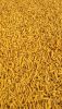 Turmeric Powder / Fing...