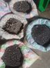 COLTAN (Columbite-Tant...