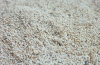 sesame seed