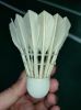 Custom Shuttlecock Gra...