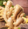 Fresh ginger crop 2023...
