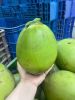 seedless lemon, lemong...